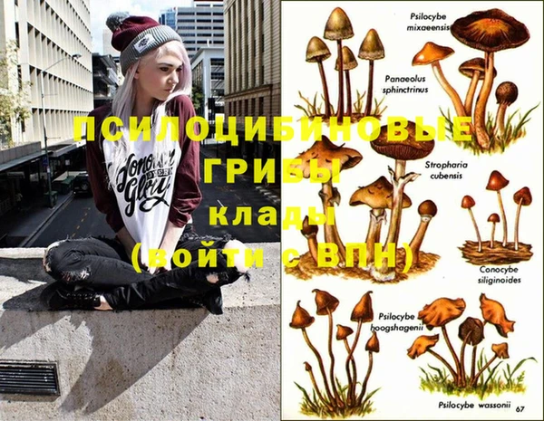 прущие крисы Абаза
