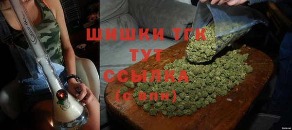 прущие крисы Абаза