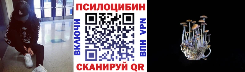 Галлюциногенные грибы мухоморы  Нарьян-Мар 