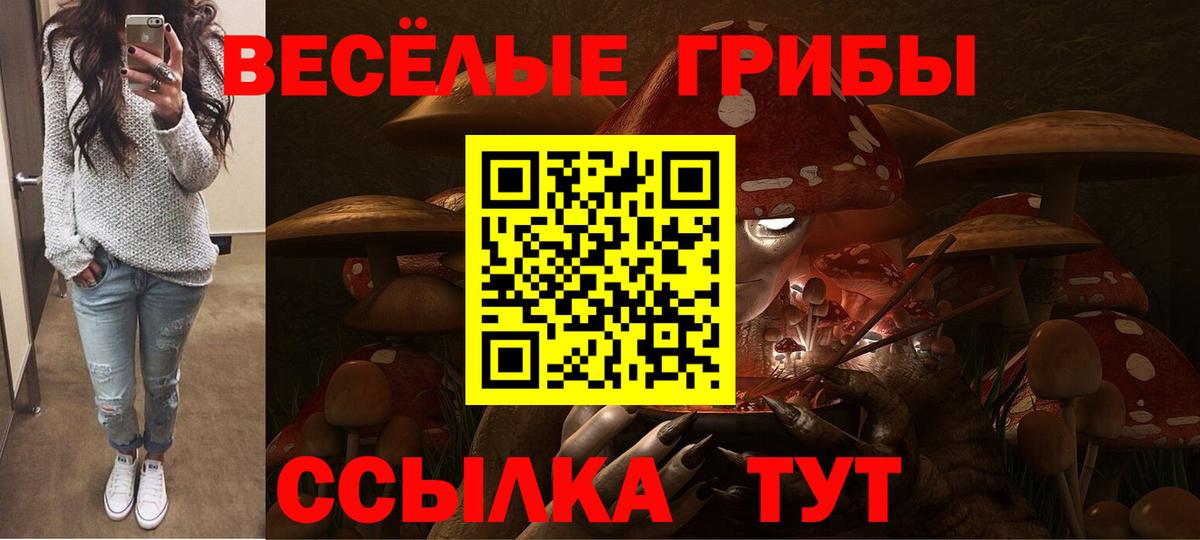 Псилоцибиновые грибы GOLDEN TEACHER  Галлюциногенные грибы Cubensis  Нарьян-Мар  Вход с VPN 